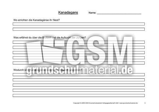 Arbeitsblatt-Kanadagänse-3.pdf